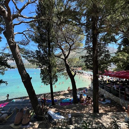 A&M Cavtat Family Apartment - 3 Bedrooms And Free Parking Dış mekan fotoğraf