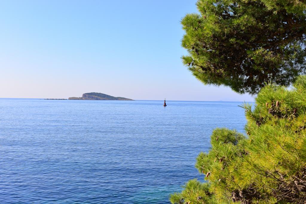 A&M Cavtat Family Apartment - 3 Bedrooms And Free Parking Dış mekan fotoğraf
