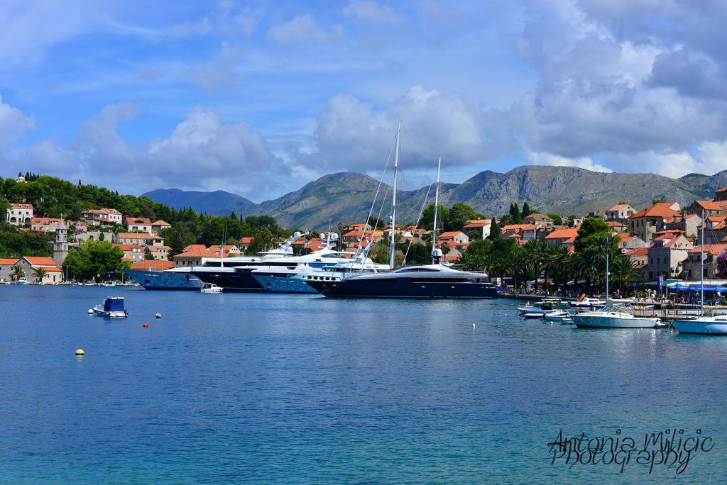 A&M Cavtat Family Apartment - 3 Bedrooms And Free Parking Dış mekan fotoğraf